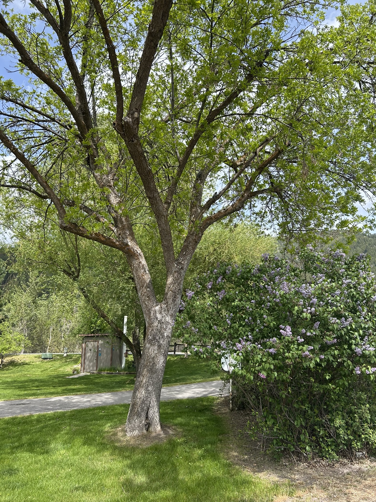 Welcome to Turah RV Park